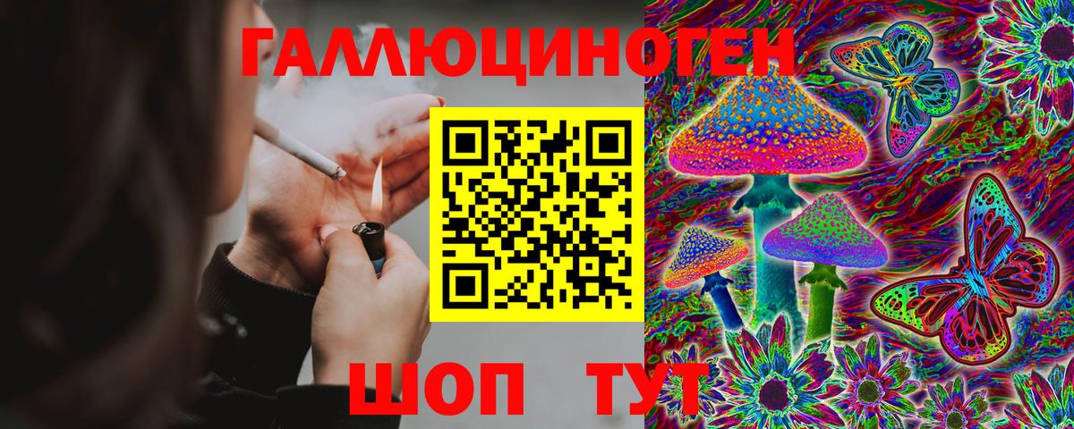 Галлюциногенные грибы Psilocybe Чусовой